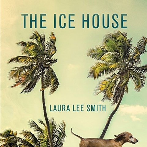 THE ICE HOUSE