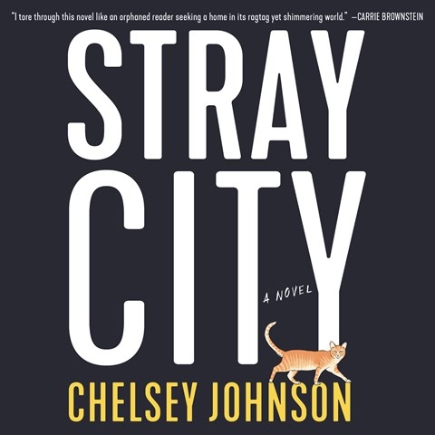 STRAY CITY