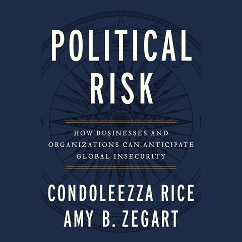 POLITICAL RISK