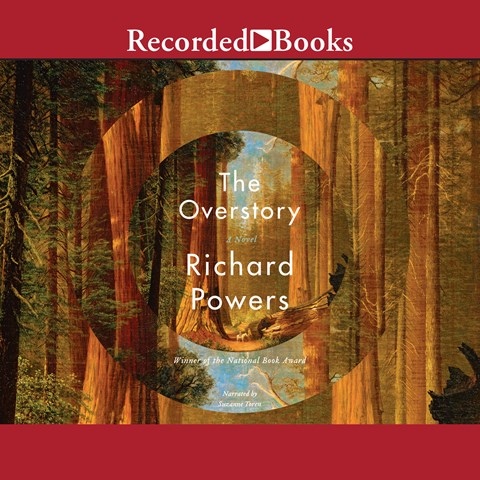 THE OVERSTORY