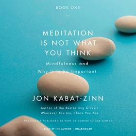 MEDITATION IS NOT WHAT YOU THINK by Jon Kabat-Zinn, read by Jon Kabat-Zinn