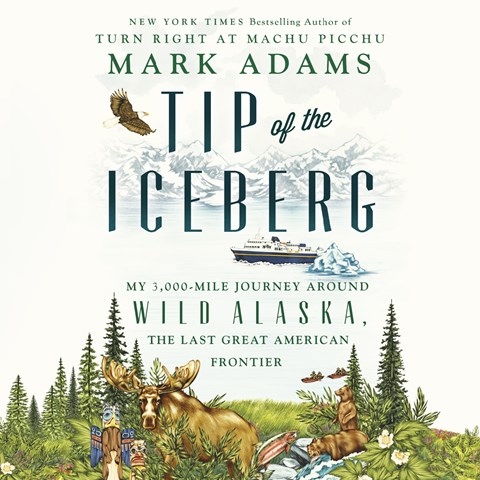 TIP OF THE ICEBERG