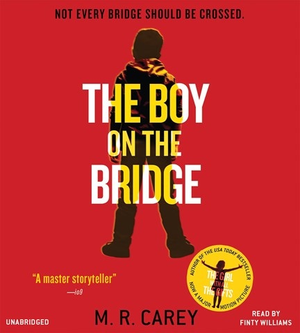 THE BOY ON THE BRIDGE
