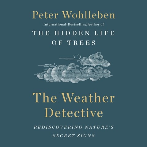 THE WEATHER DETECTIVE
