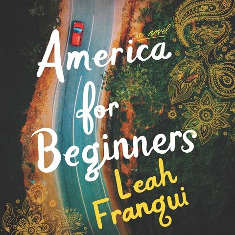 AMERICA FOR BEGINNERS