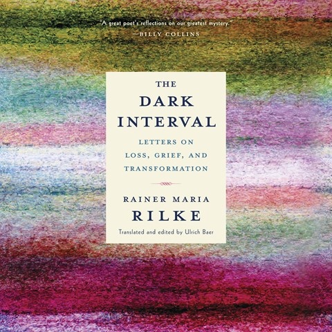 THE DARK INTERVAL