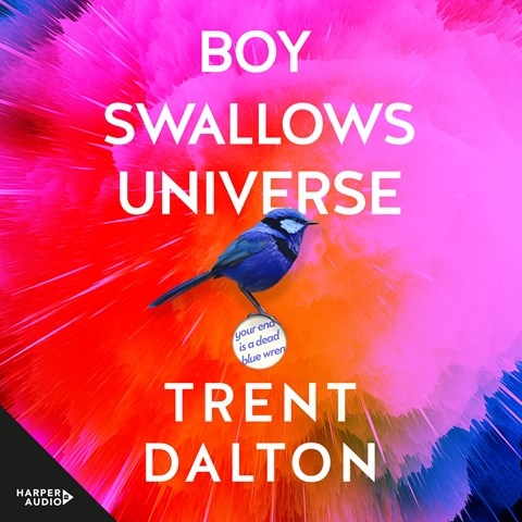BOY SWALLOWS UNIVERSE