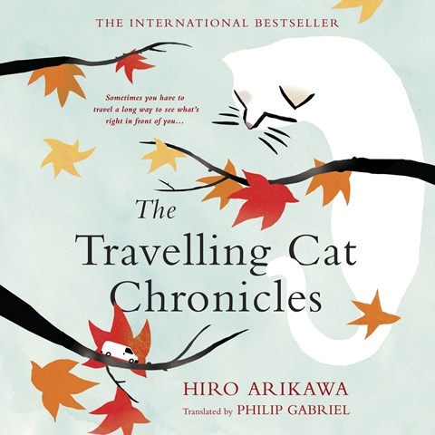 THE TRAVELLING CAT CHRONICLES