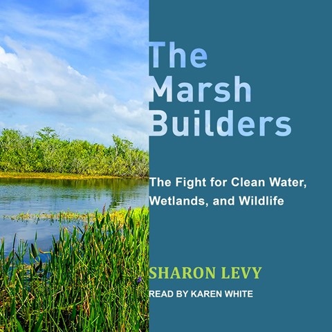 THE MARSH BUILDERS