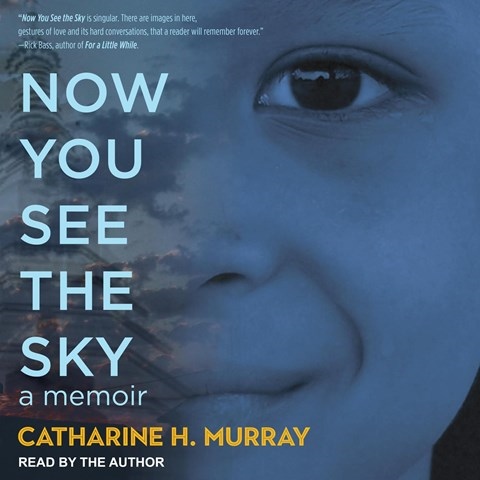 NOW YOU SEE THE SKY