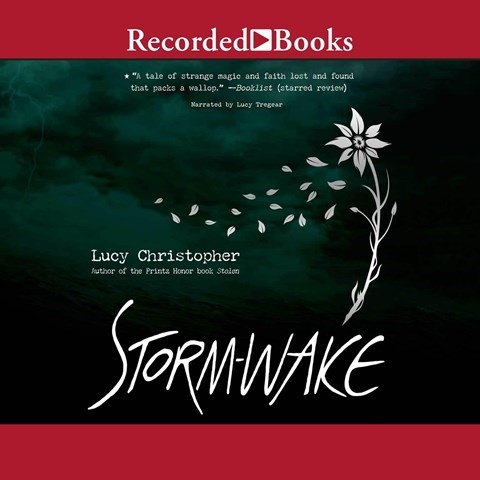 STORM-WAKE
