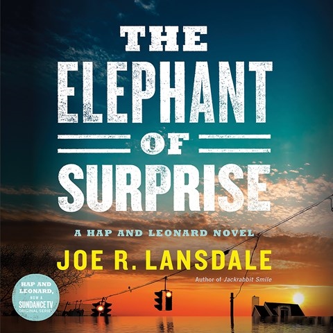 THE ELEPHANT OF SURPRISE
