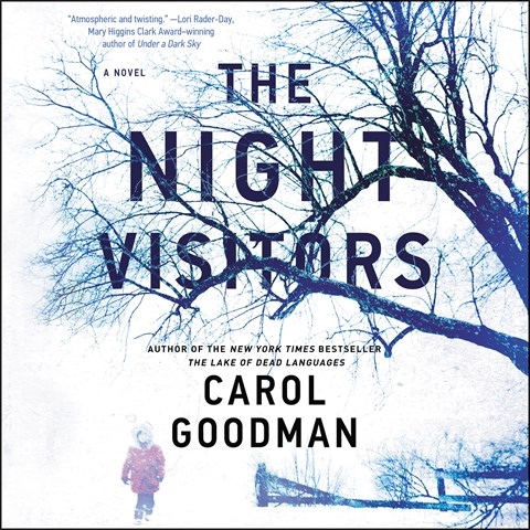 THE NIGHT VISITORS