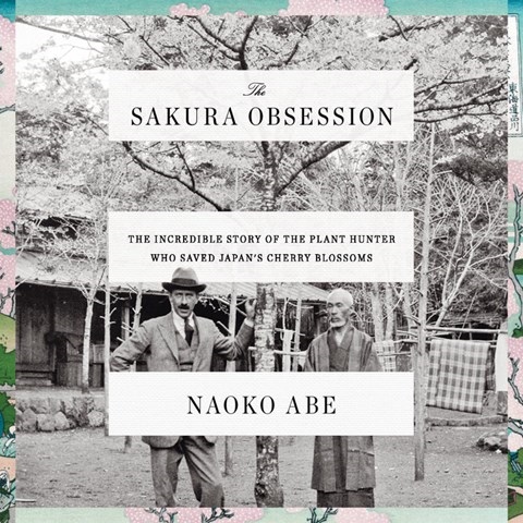 THE SAKURA OBSESSION