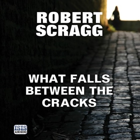 WHAT FALLS BETWEEN THE CRACKS