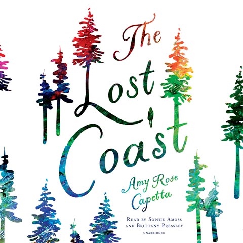 THE LOST COAST