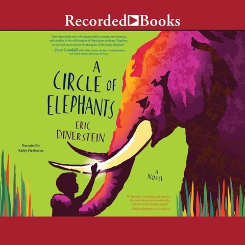 A CIRCLE OF ELEPHANTS