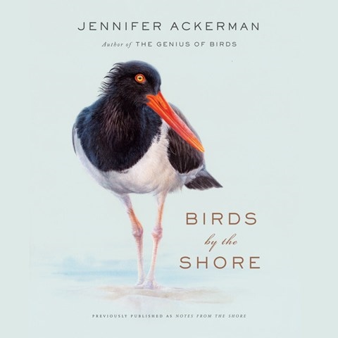 BIRDS BY THE SHORE