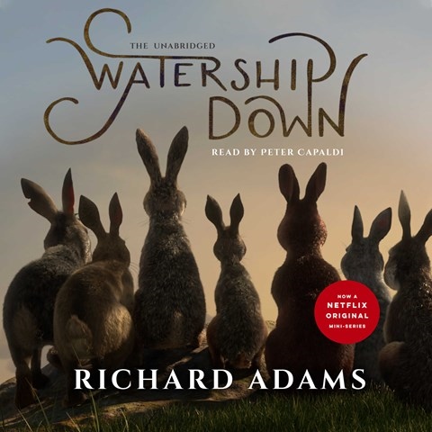 WATERSHIP DOWN