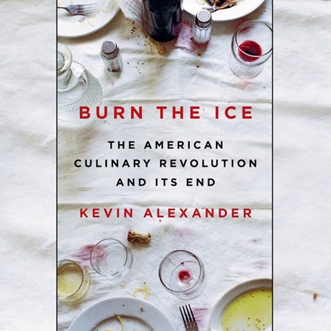 BURN THE ICE