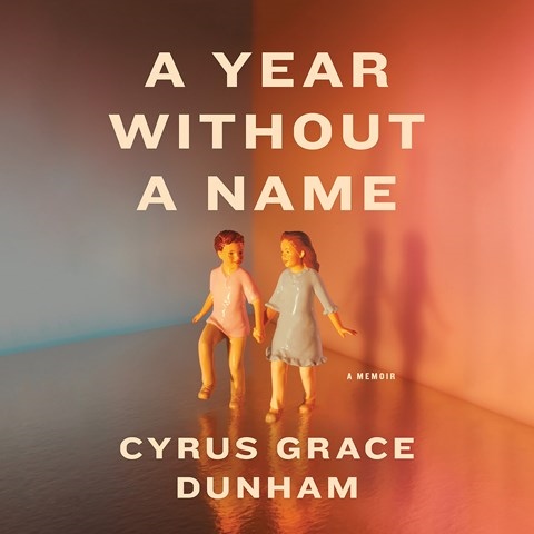 A YEAR WITHOUT A NAME 