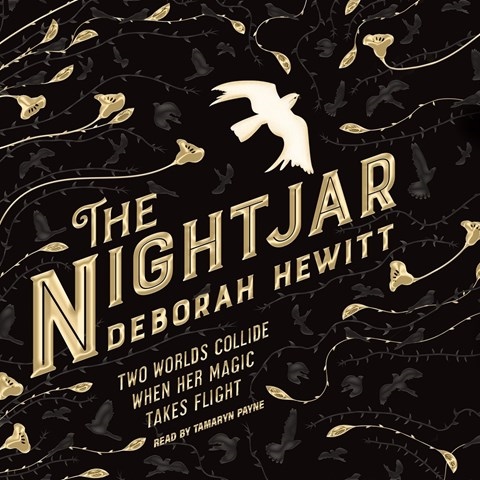 THE NIGHTJAR