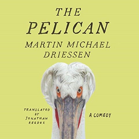 THE PELICAN