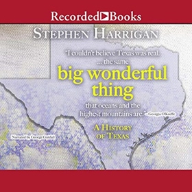 BIG WONDERFUL THING by Stephen Harrigan, read by George Guidall