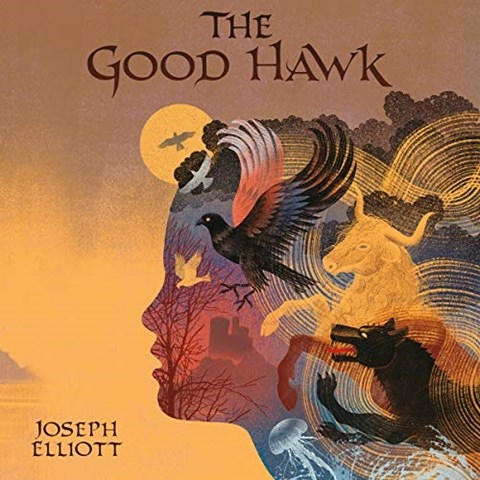 THE GOOD HAWK