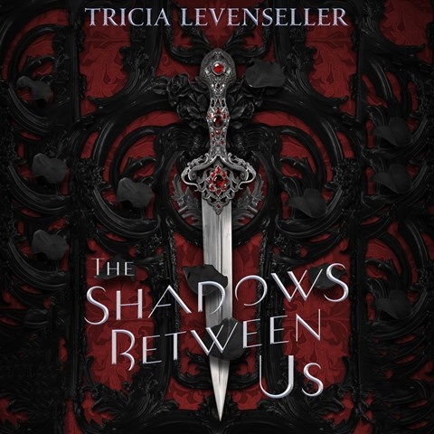 THE SHADOWS BETWEEN US