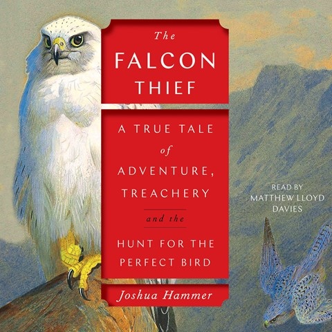 THE FALCON THIEF