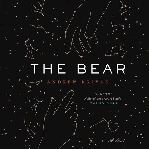 THE BEAR