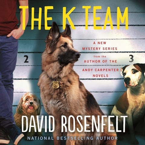 THE K TEAM