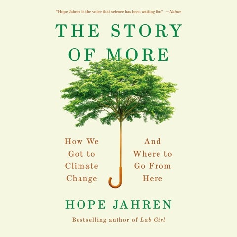 THE STORY OF MORE