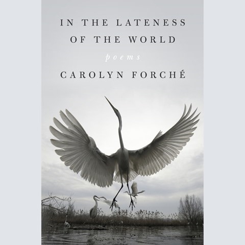 IN THE LATENESS OF THE WORLD