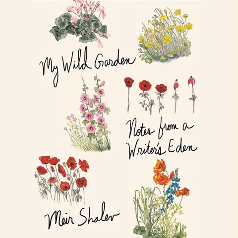 MY WILD GARDEN