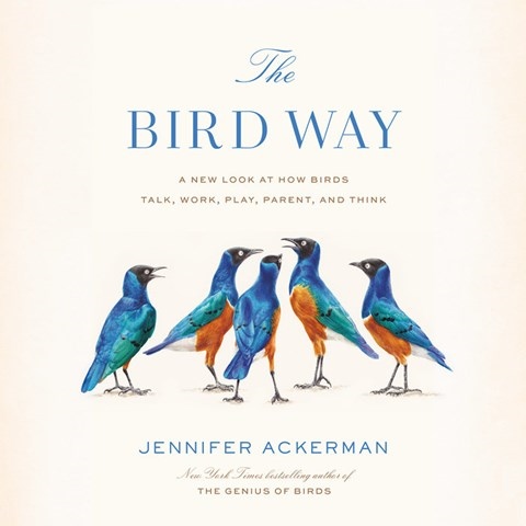 THE BIRD WAY