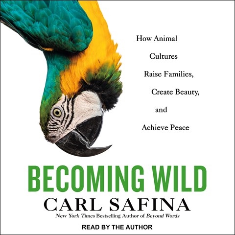 BECOMING WILD