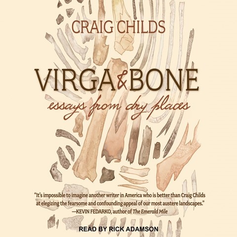 VIRGA & BONE