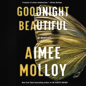GOODNIGHT BEAUTIFUL by Aimee Molloy, read by Val Toomey, George Newbern, Marin Ireland, Joel Froomkin