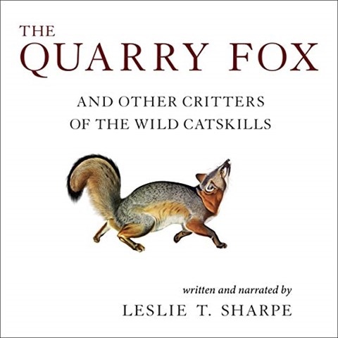 THE QUARRY FOX