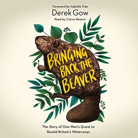 BRINGING BACK THE BEAVER
