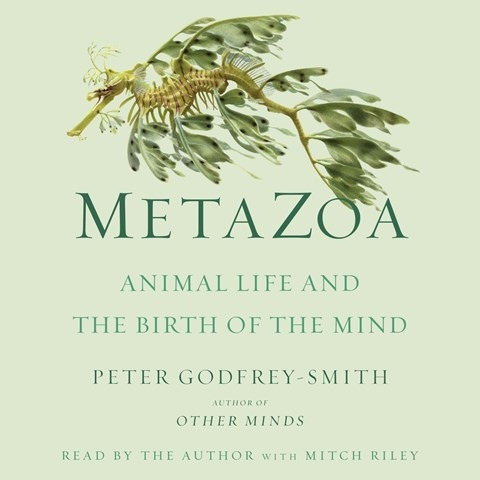 METAZOA