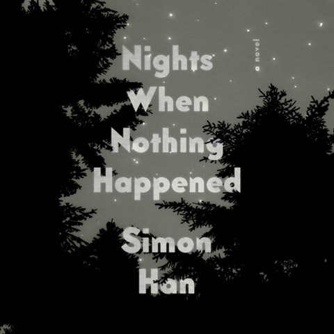 NIGHTS WHEN NOTHING HAPPENED