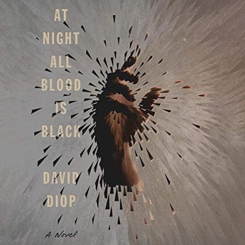 AT NIGHT ALL BLOOD IS BLACK