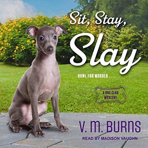 SIT, STAY, SLAY