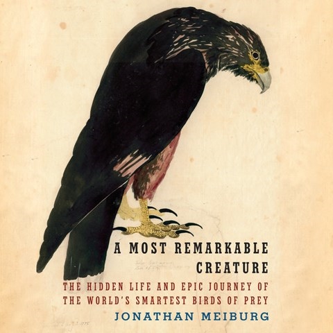 A MOST REMARKABLE CREATURE