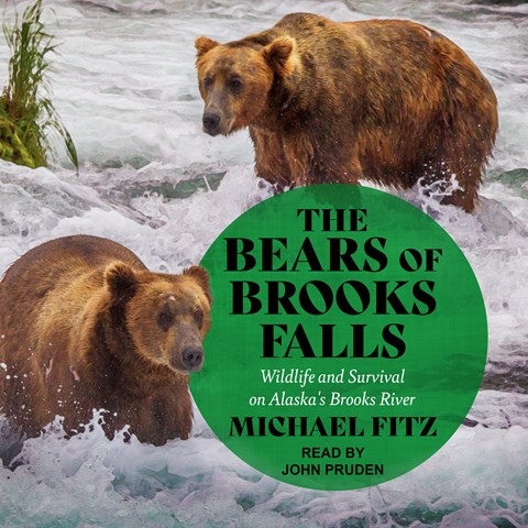 THE BEARS OF BROOKS FALLS