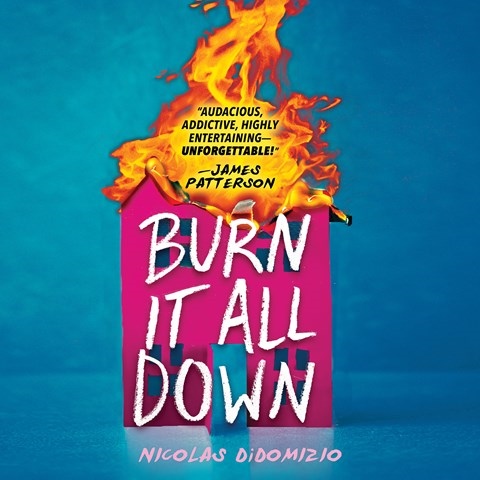 BURN IT ALL DOWN