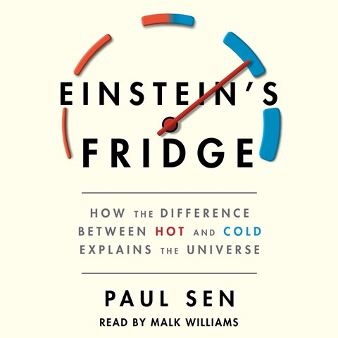 EINSTEIN'S FRIDGE